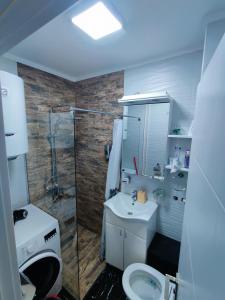 诺维萨德Ana Apartment的带淋浴、盥洗盆和卫生间的浴室