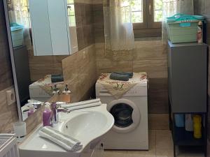桑加拉达Marios guesthouse Pelion的一间带洗衣机和水槽的浴室