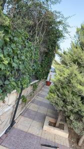 伊尔比德شقه مفروشه مع حديقه اربد بجانب مدارس دار العلوم的一条有树木和灌木的步道,旁边是一条墙