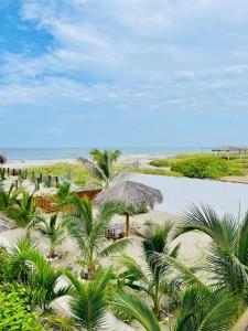 普拉亚斯Un Dia Boutique Resort的棕榈树海滩的空中景致