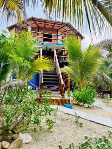 普拉亚斯Un Dia Boutique Resort的海滩上的房子,前面有棕榈树