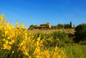 蒙特普齐亚诺泰努塔桑塔格尼兹酒店的一座花朵黄色的小山顶上的房子