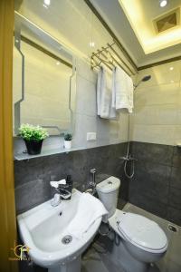 开罗tourist hotels cairo downtown的一间带水槽、卫生间和镜子的浴室