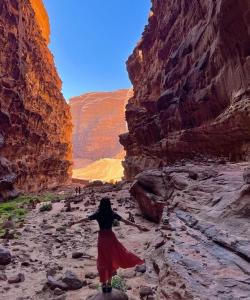 瓦迪拉姆Desert stars的穿红衣的女人穿过峡谷