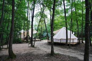 安昙野市Glamping Azumino BASE Polecan - Vacation STAY 49297v的树林中间的帐篷