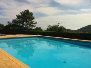 勒拉旺杜Maison Le Lavandou, 2 pièces, 5 personnes - FR-1-251-566的院子里的大型蓝色游泳池