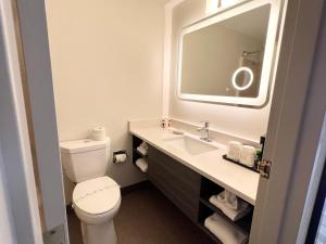 锡达拉皮兹Kiteville Cedar Rapids的浴室设有卫生间和带镜子的盥洗盆