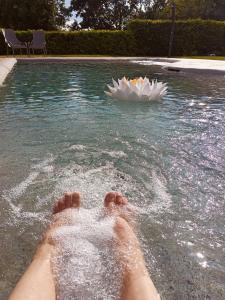 维琴察Albergo Torre的水中的人脚,水中花