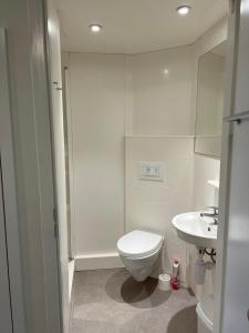切尔滕纳姆Cosy Private Ensuites and Studios in the heart of Cheltenham的白色的浴室设有卫生间和水槽。