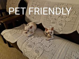 卡尔佩特塔DOLPHIN ENCLAVE SERVICE STUDIO APARTMENTS的两只狗躺在沙发上,说着宠物友好的话