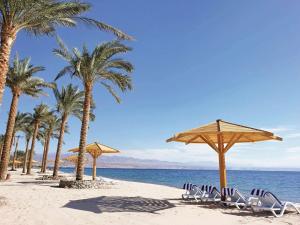 塔巴Movenpick Taba Resort & Spa的海滩上设有椅子和遮阳伞,棕榈树