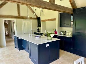 UleyLuxury farmhouse in secluded Cotswold valley的厨房配有蓝色橱柜和白色台面