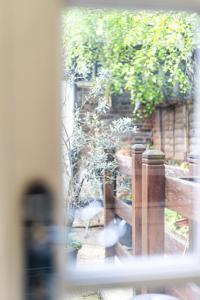 伦敦Islington Hideout的鸟站在围栏后面的花园中
