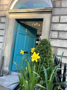 爱丁堡约克广场28号酒店的前面有黄色花的蓝色门