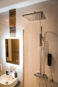 莫尔济讷Nant Morzine的带淋浴、盥洗盆和镜子的浴室