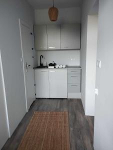 克罗奇琴科Willa Granit的一间小厨房,配有白色的橱柜和地毯