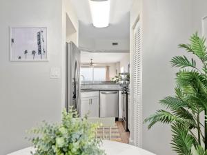 奥蒙德海滩Sea Winds 501 - Corner Breeze的厨房设有白色的墙壁和植物桌子