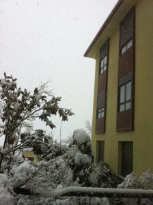 BustarviejoMirasierra的一座有雪盖的房子,有树和一座建筑