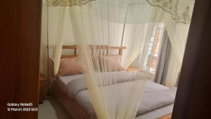 Room in Guest room - Charming Room in Kayove, Rwanda - Your Perfect Getaway的一间卧室配有两张床、白色窗帘和窗户
