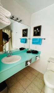 特拉弗斯城The Sierra Motel的一间带水槽和卫生间的浴室