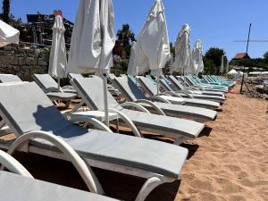 锡德Cuba Beach Hotel的海滩上一排带遮阳伞的躺椅