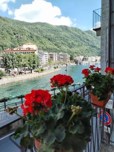 奥梅尼亚un balcone sul lago的阳台种有红色的鲜花,享有河景