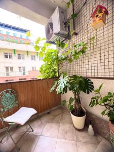 第比利斯T2&T3 Apartments LEVANTO的阳台配有椅子和墙上的植物