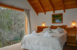 圣马丁德洛斯Apart Hotel del Pellin的一间卧室设有一张床和一个大窗户