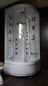 奥拉迪亚Vila De la Lugas的一间带卫生间的浴室内的玻璃淋浴间