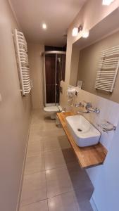 斯维诺乌伊希切Villa Melodia的一间带水槽和卫生间的浴室