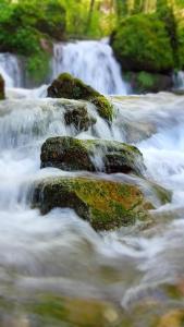 MattarelloAppartment Lodged Mamma Maria的一条快速流动的河流,河中生长着岩石和植物