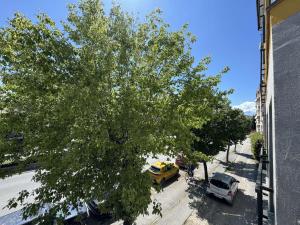 奥赫里德Paradiso Apartments的街道上汽车和树的上方景色