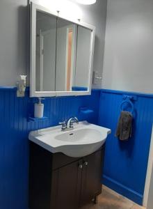 温尼伯Close to center的蓝色的浴室设有水槽和镜子