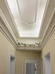比萨Ad Agio Apartments的花卉走廊上的格子天花板