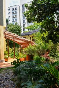 麦德林拉坎帕纳精品酒店的种植了植物的花园中的木凉亭
