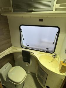 凯夫拉维克Camping Van的一间带卫生间和水槽的小浴室