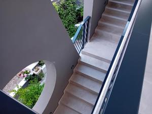 扎达尔Villa Maboka的植物楼梯的上空景观