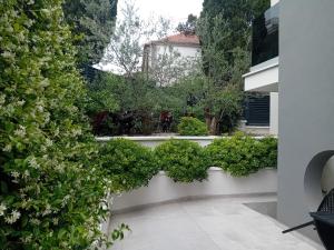 扎达尔Villa Maboka的白色墙壁上种植了绿色植物的花园