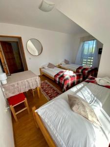 Pensiunea Agroturistica Casa Tarta的小房间设有两张床和镜子