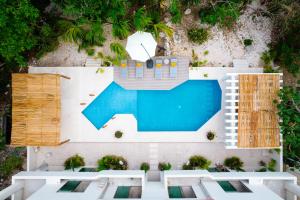 阿文图拉斯港Casa Manglar Riviera Maya的享有带游泳池的建筑的空中景致