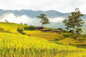 Bản Cong NaKhách sạn Hoàng Long - HOANG LONG HOTEL的一片草场,有房子的背景