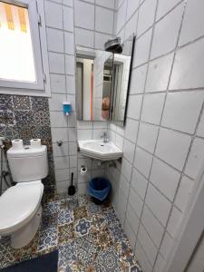 亚历山大Downtown Sea View Suites的一间带卫生间、水槽和镜子的浴室
