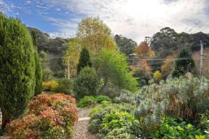 卢拉Little Haven Leura Cottage with Spa Bath and BBQ的种有多种植物和树木的花园