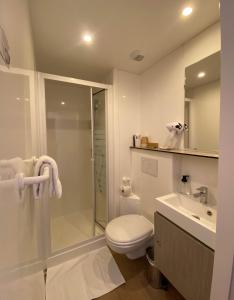 博福特Hôtel du Grand-Mont的浴室配有卫生间、淋浴和盥洗盆。