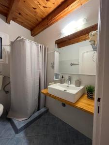 拉基索拉阿里亚公寓的浴室配有白色水槽和淋浴。