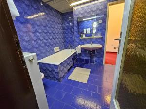 Radomlje斯伯恩酒店的蓝色的浴室设有浴缸和水槽