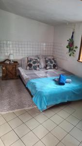 ZakroczymSzalupa Hostel Airport的一间卧室配有一张带蓝色毯子的大床