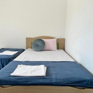 奥弗里安Central Apartments Ariadni的一间卧室配有两张带蓝色床单和枕头的床