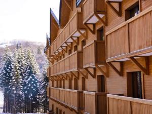 科拉欣Swissôtel Resort Kolasin的一座有雪覆盖的树木的木质建筑