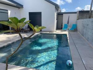 Bras-PanonÔ Ti' Lodge Vanilla的后院的棕榈树游泳池